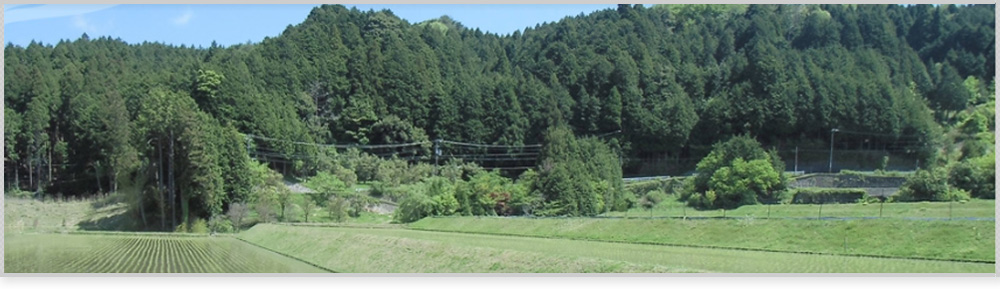 一般財団法人大阪府みどり公社は、各種大阪の農空間活用の取り組みを支援します。